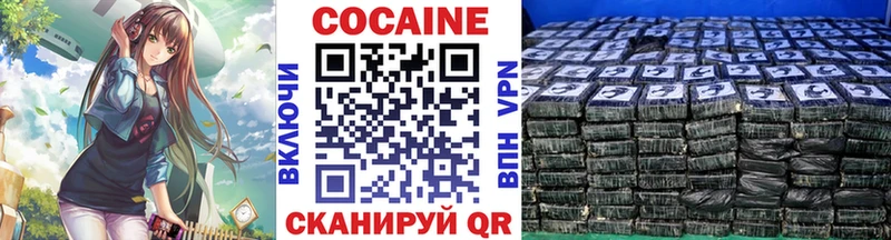 Cocaine Эквадор  закладки  Олонец 