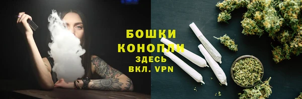 индика Новокубанск
