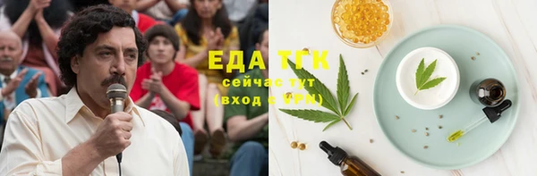 индика Новокубанск