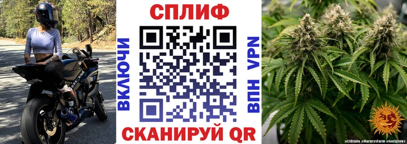 где можно купить   Олонец  Бошки марихуана планчик 